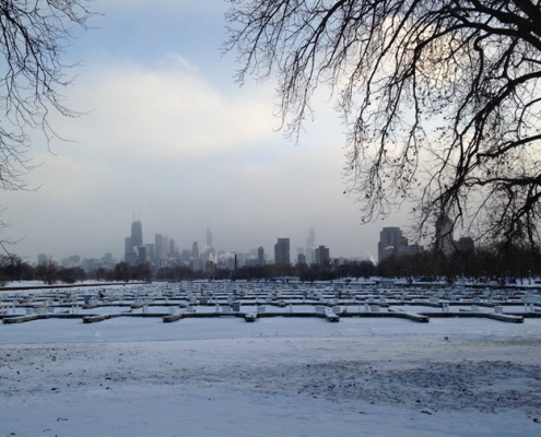 Polar Vortex in Chicago